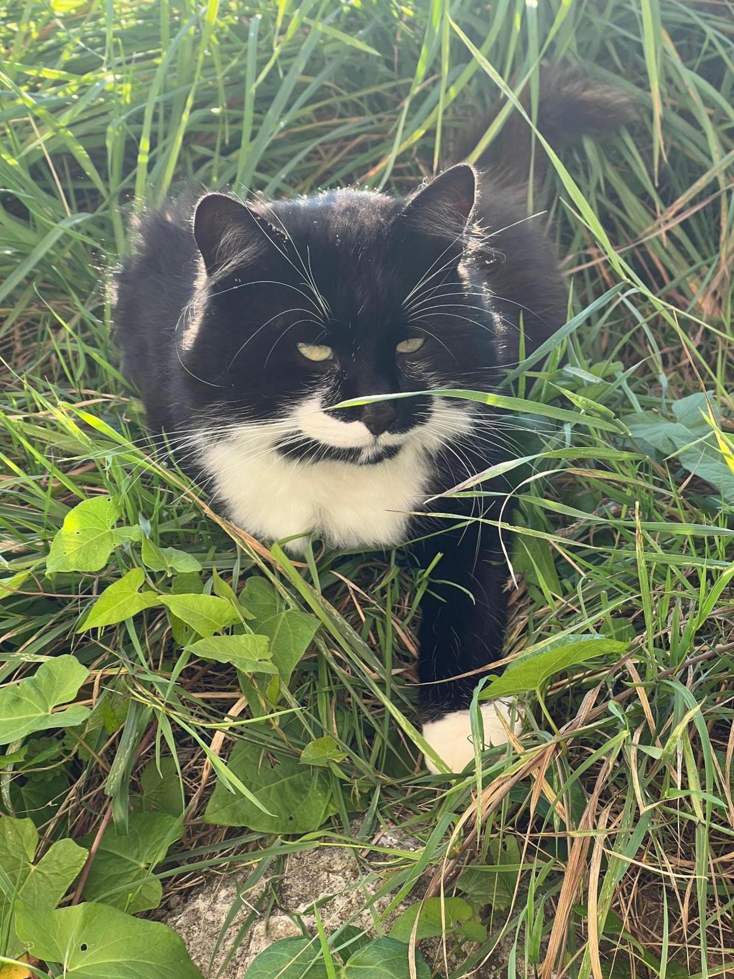 Willa Beim Danner Riedering Zewnętrze zdjęcie